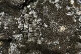Septarian Dragon Egg Geode - Black Crystals #109968-1